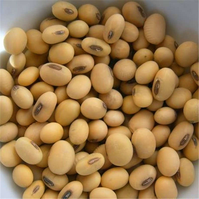 Africa Quality Spices