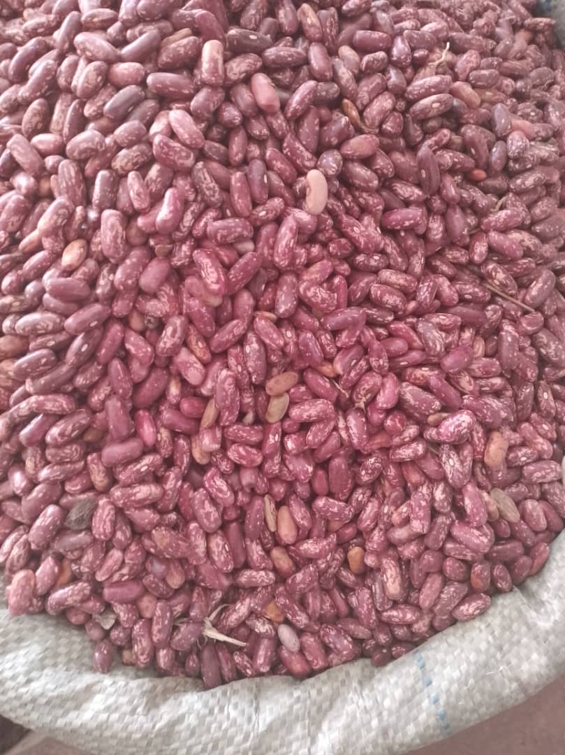 Africa Quality Spices